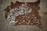 Big Impact - Tiny Hide - A Mini Cowhide Rug - For that Special Nook