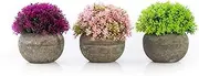 Artificial Plants in Pots for Home Decor, Small Faux Plants Potted Set of 3 Green Pink Red, Small Fake Plants for Office, Desk, Bathroom, Mini Artificial Plants for Bedroom Living Room and Kitchen