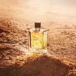 【J.ONE_TW】HERMES EAU INTENSE VETIVER 愛馬仕大地馥郁香根草男性淡香精