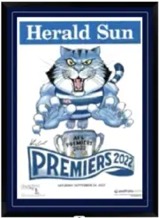 GEELONG CATS 2022 AFL PREMIERS GRAND FINAL PREMIERSHIP MARK KNIGHT MAT FRAMED