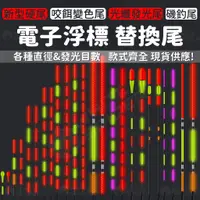 在飛比找蝦皮購物優惠-【W.S釣具-熱銷現貨快速出✨】電子浮標、電子浮標替換尾、咬