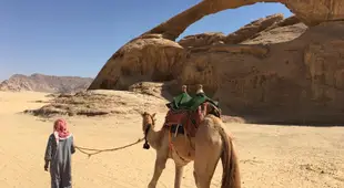 Desert trips