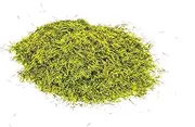 Hornby Meadow Static Grass, 2.5 mm Size