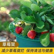 草莓支架陽臺盆栽庭院種植果實爬藤支撐架神器種菜托盤園藝花支架