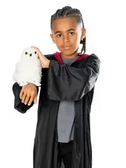Hedwig The Owl Plush with Gauntlet - Harry Potter