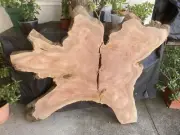 Red Mahogany natural live edge timber slab for table / Epoxy / wall art etc