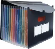 Brustro EZExpand A4 Folder 13 Pocket Expanding File Folder, Accordion Document Organizer for School, Home & Office
