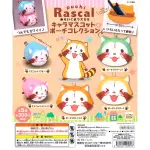 現貨 日本小浣熊 拉斯卡爾 RASCAL 沙包零錢包 轉蛋 扭蛋 (5款一組)