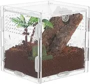 Toyvian Acrylic Small Enclosure Transparent Escapeproof Terrarium for Jumping Spiders Compact Design for Home Use Full Viewing Experience for Insects and Lizards