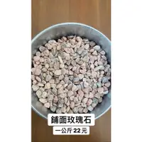 在飛比找蝦皮購物優惠-玫瑰石 盆栽 鋪面 佈置 仙人掌盆栽 觀葉植物 顏色超美