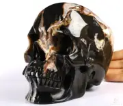 Geode 5.9" Black Zebra Agate Carved Crystal skull,Super Realistic, Healing