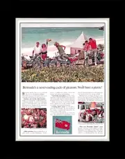 1965 Bermudas a Never Ending Cycle of Pleasure You'll Have a Picnic - 11x14 Mat