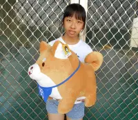 在飛比找Yahoo!奇摩拍賣優惠-婷芳小舖~超可愛柴犬娃娃 柴犬玩偶 韓國瑜 柴犬 長52公分