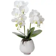 Orchid Artificial Orchids Flowers with Vase White Phalaenopsis Plant Silk Fau...