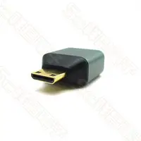 在飛比找PChome商店街優惠-【祥昌電子】HDMI-112 Mini HDMI (公) 轉