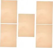 LAPYAPPE Photography Lighting Gels 5 Pack Orange PVC Film Sheets Diffuser for Classroom