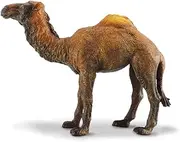 CollectA Wildlife Dromedary Camel Toy Figure - Authentic Hand Painted Model