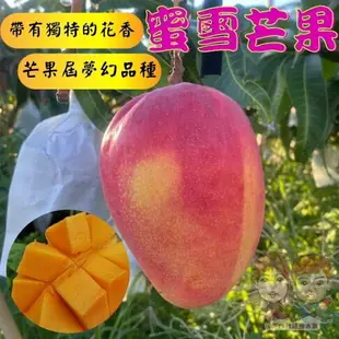 【緁迪水果JDFruit】台灣小農-台東在欉紅夏雪/蜜雪芒果 (2.5公斤/盒) 水果禮盒推薦 產地直送