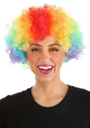 Rainbow Afro Clown Wig