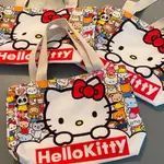 【MOII 現貨速發】 HELLO KITTY 帆布袋 卡通凱蒂貓手提斜背包 輕便 大容量購物袋