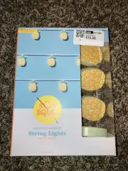 New Sun Squad Indoor/Outdoor PINEAPPLE String Lights -6ft Lighted Length