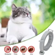 Adjustable Anti Flea and Tick Neck Collar For Pet Dog Cat 8 month Protection