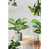 在飛比找樂天市場購物網優惠-仿真綠植物小盆栽辦公室桌面擺設龜背假植物裝飾假花客廳擺件