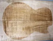 Figure Archtop Guitar Drop Top 10mm Spalted Maple Bookmatch Wood Luthier Supply