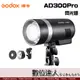 GODOX 神牛 AD300 Pro 便攜式 外拍燈 / 專業300WS TTL閃光燈 持續燈 棚燈 補光 婚攝 商攝 圓形燈頭