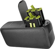 TELESIN Power Bank for Go Pro Hero 11 Hero 10 Hero 9 Hero 8 Hero 7 Hero 6 Hero 5 Cellphones Battery Charging,with USB-A USB-C Port Storage Charger,Fast Charge for Hero 11/10/9/8/7/6/5 iPhone Samsung