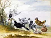 POULTRY Tile Mural Kitchen Bathroom Wall Backsplash Art 24x18