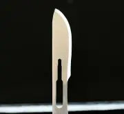 SCALPEL BLADES # 10 SURGICAL DENTAL MEDICAL VETERINARY INSTRUMENT 100/Box