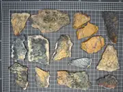 Yellow Dendritic Opalite / Chalcedony - 15 Slices - 359gm - Goldfields