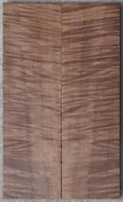 Shimmering Xtreme Fiddleback Curl Koa knife scales #5040, 5 15/16 x 1 3/4 x 7/16