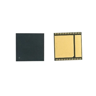 1X Professional BM1725 BM1725AA ASIC Chip for Antminer DR5 Upgrade Repair Part