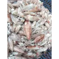 在飛比找蝦皮購物優惠-花食間海鮮專賣 小卷 現撈小卷 自家漁船捕撈