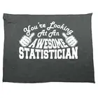 Youre Looking At An Awesome Statistician - Novelty Tea Towel cleaning cloth Dish