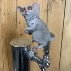 Bush Baby Beer Keg Tap Handle For Kegerator African Safari Madagascar