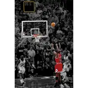 NBA Michael Jordan The Shot Poster