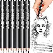 YUANCHENG Professional Sketching Pencil Set - 12 Pieces, Graphite (14B - 2H), Artist Pencils for Beginners, Shading, Drawing Art