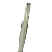 Scolecite Crystals Malad Quarry, Mumbai, Maharashtra, India (EA1406) mineral