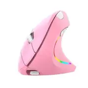 Wireless 2.4G Vertical Mouse