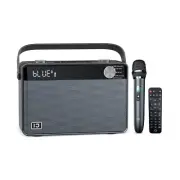 SHIDU Karaoke Machine, Bluetooth Speaker and Wireless Microphone, 40W Portabl...