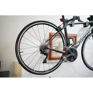 2019 捷安特Giant TCR Advanced 2 腳踏車