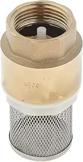 Brass Foot Valve Mesh Valve with Strainer Filter, Forged body, beautiful appearance, DN25