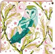 Generic Tula Pink Night Owl XL Corner Zip Bag Notion, Clear Vinyl with Printed Design