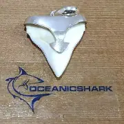 B48 26MM SHARK TOOTH SILVER U WILL GET ITEM IN PHOTO SURFER WAVE TUBES