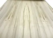 Maple Spalted Ambrosia wood veneer 48" x 120" x 1/40" with paper backer AA