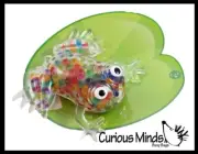 1 Frog Rainbow Gel Filled Squeeze Stress Ball - Sensory, Stress, Fidget