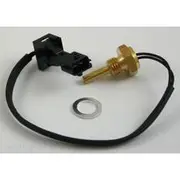 RAE Coolant Temperature Sensor - CS934